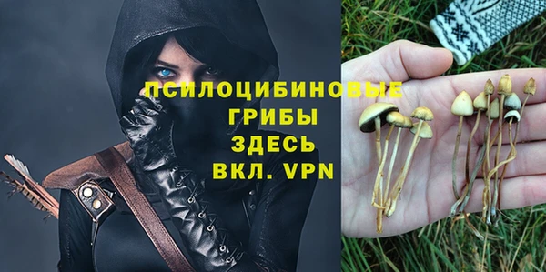соль ск Аркадак